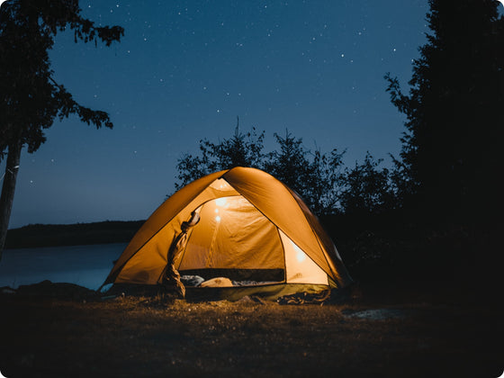 De vacuitate doloris eadem sententia erit. Scrupu